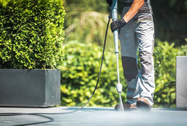 Best Gutter Cleaning  in Watertown, WI